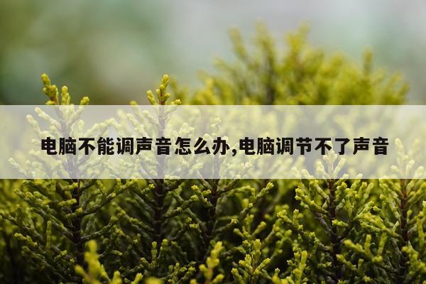 电脑不能调声音怎么办,电脑调节不了声音