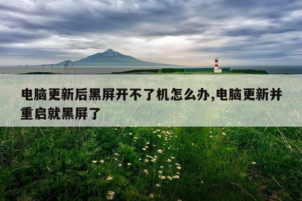 电脑更新后黑屏开不了机怎么办,电脑更新并重启就黑屏了