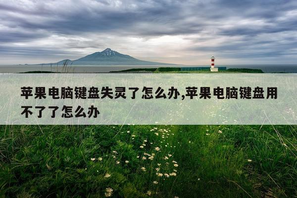 苹果电脑键盘失灵了怎么办,苹果电脑键盘用不了了怎么办