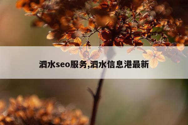 泗水seo服务,泗水信息港最新