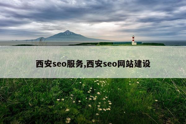 西安seo服务,西安seo网站建设