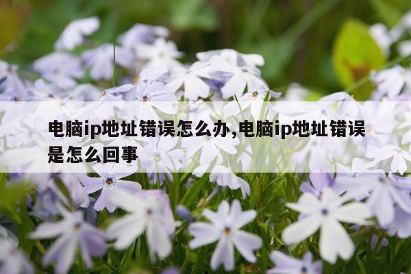 电脑ip地址错误怎么办,电脑ip地址错误是怎么回事