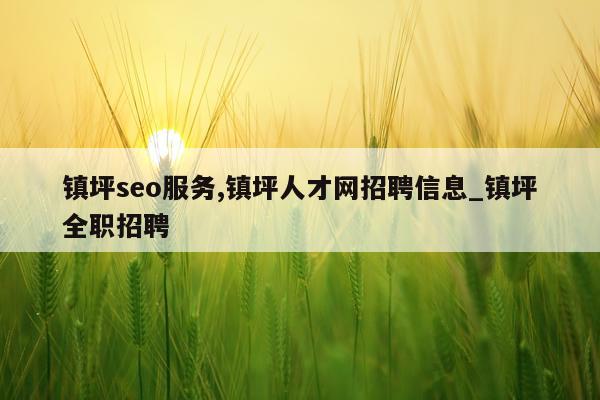 镇坪seo服务,镇坪人才网招聘信息_镇坪全职招聘