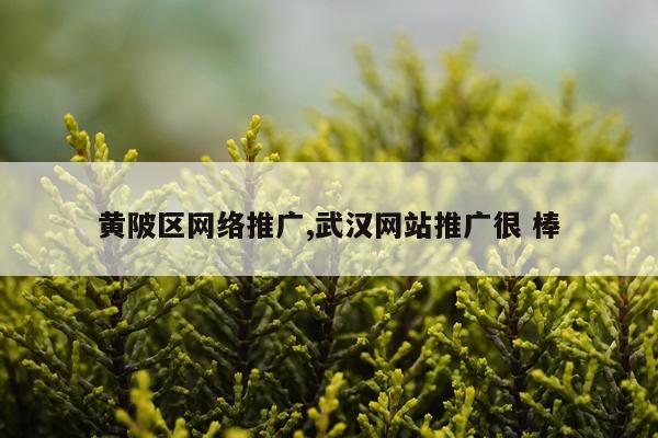 黄陂区网络推广,武汉网站推广很 棒