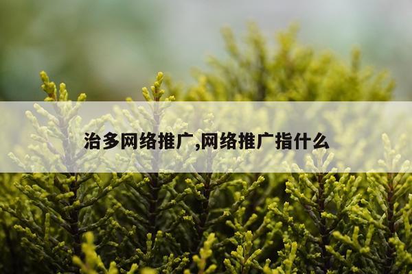 治多网络推广,网络推广指什么