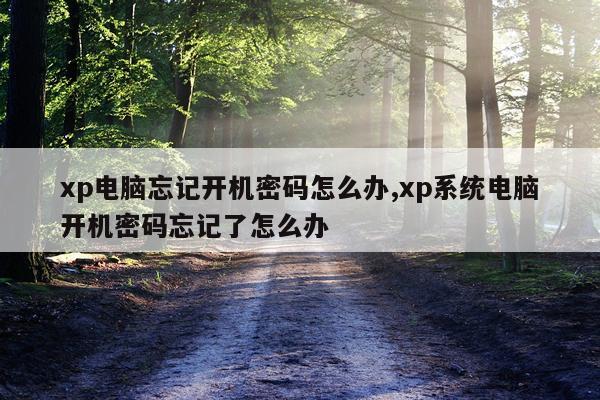 xp电脑忘记开机密码怎么办,xp系统电脑开机密码忘记了怎么办