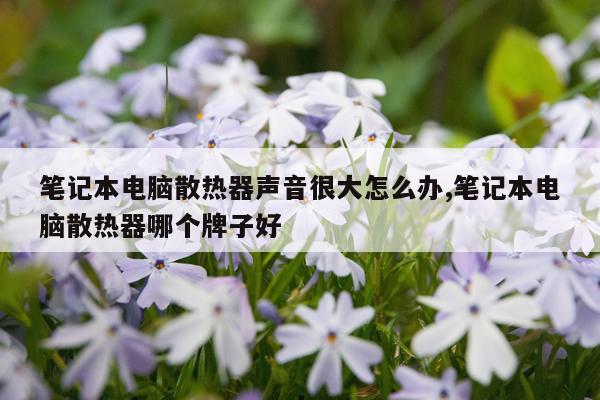 笔记本电脑散热器声音很大怎么办,笔记本电脑散热器哪个牌子好