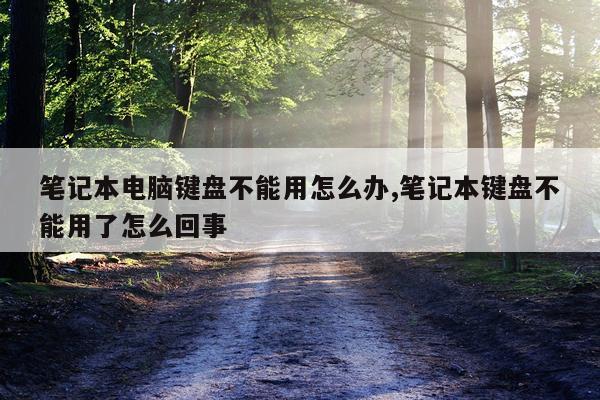 笔记本电脑键盘不能用怎么办,笔记本键盘不能用了怎么回事
