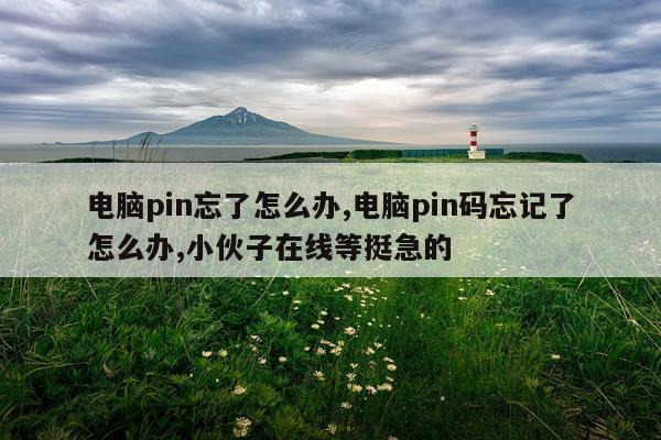 电脑pin忘了怎么办,电脑pin码忘记了怎么办,小伙子在线等挺急的