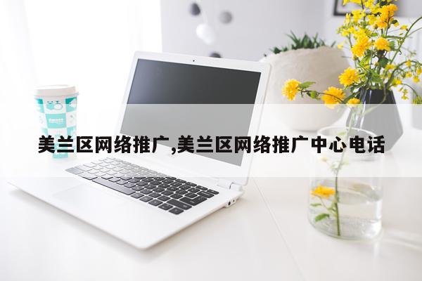 美兰区网络推广,美兰区网络推广中心电话