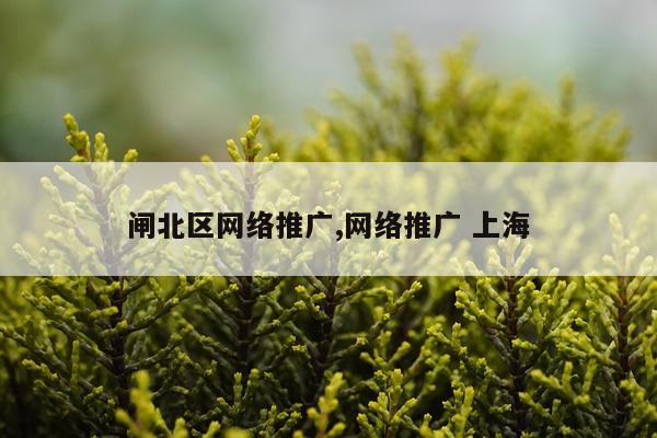 闸北区网络推广,网络推广 上海