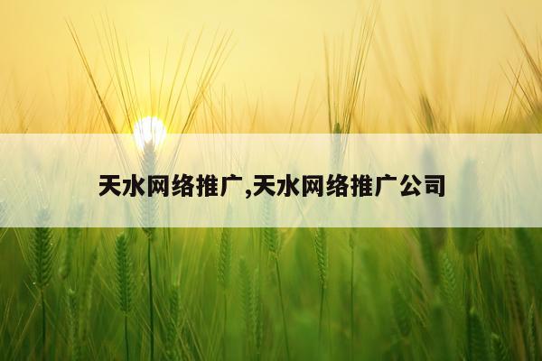 天水网络推广,天水网络推广公司