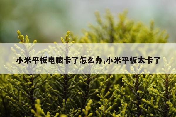 小米平板电脑卡了怎么办,小米平板太卡了