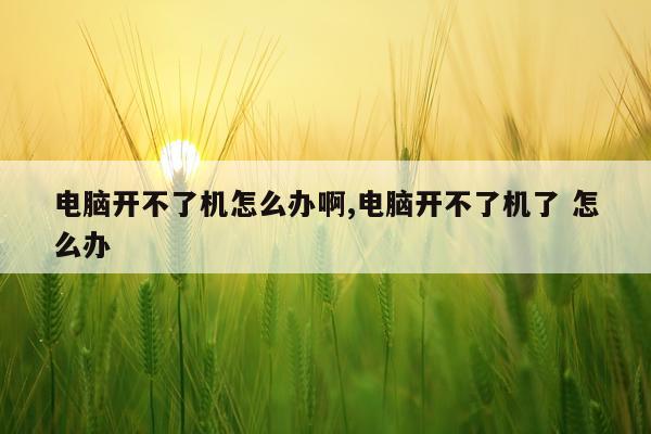 电脑开不了机怎么办啊,电脑开不了机了 怎么办