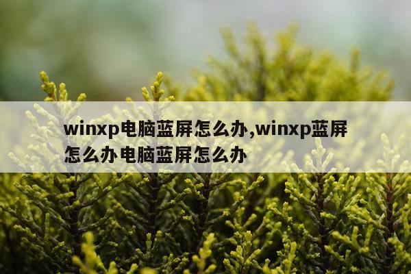 winxp电脑蓝屏怎么办,winxp蓝屏怎么办电脑蓝屏怎么办