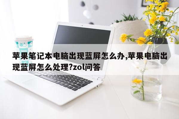 苹果笔记本电脑出现蓝屏怎么办,苹果电脑出现蓝屏怎么处理?zol问答
