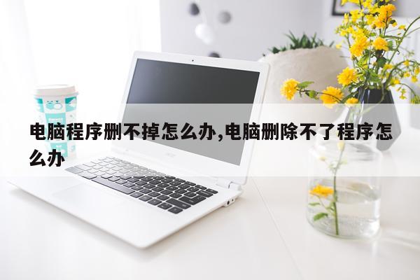 电脑程序删不掉怎么办,电脑删除不了程序怎么办