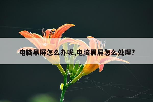 电脑黑屏怎么办呢,电脑黑屏怎么处理?