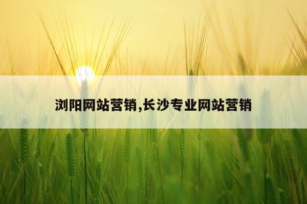 浏阳网站营销,长沙专业网站营销