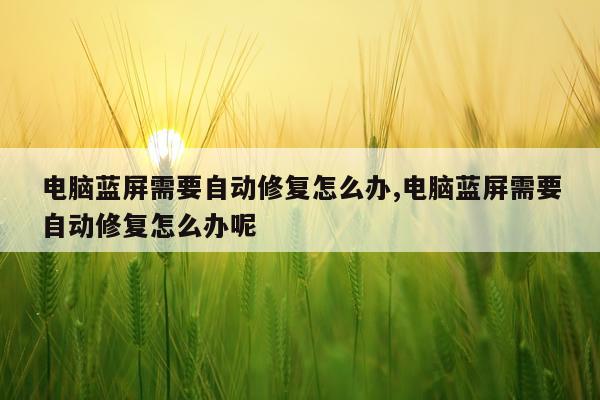 电脑蓝屏需要自动修复怎么办,电脑蓝屏需要自动修复怎么办呢