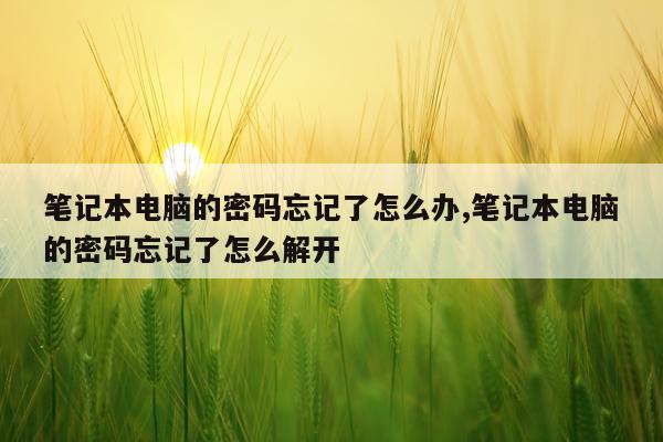 笔记本电脑的密码忘记了怎么办,笔记本电脑的密码忘记了怎么解开