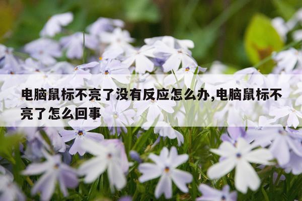 电脑鼠标不亮了没有反应怎么办,电脑鼠标不亮了怎么回事