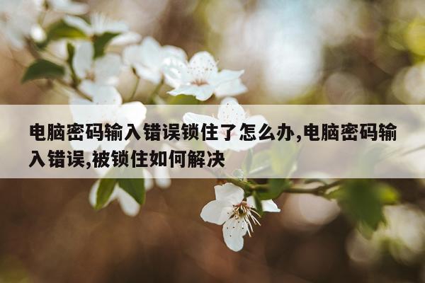 电脑密码输入错误锁住了怎么办,电脑密码输入错误,被锁住如何解决
