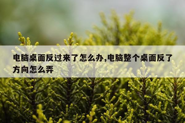 电脑桌面反过来了怎么办,电脑整个桌面反了方向怎么弄