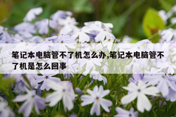 笔记本电脑管不了机怎么办,笔记本电脑管不了机是怎么回事
