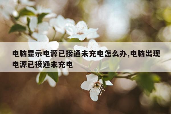 电脑显示电源已接通未充电怎么办,电脑出现电源已接通未充电