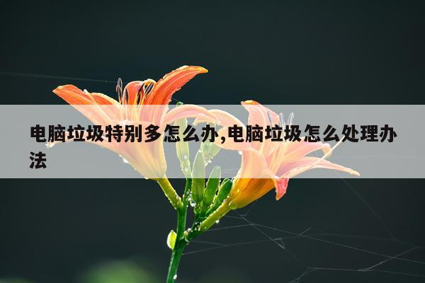 电脑垃圾特别多怎么办,电脑垃圾怎么处理办法