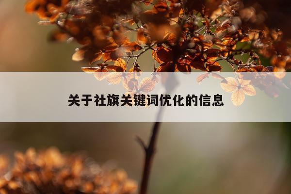 关于社旗关键词优化的信息
