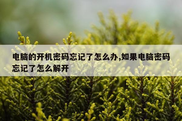电脑的开机密码忘记了怎么办,如果电脑密码忘记了怎么解开