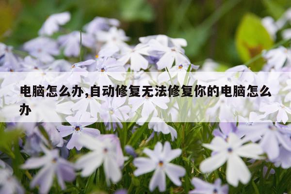 电脑怎么办,自动修复无法修复你的电脑怎么办