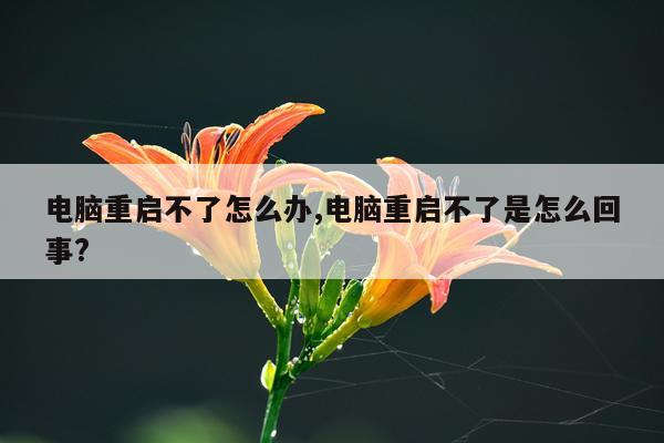 电脑重启不了怎么办,电脑重启不了是怎么回事?