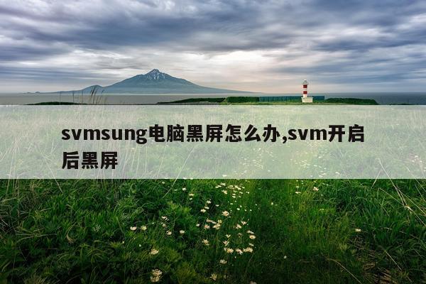 svmsung电脑黑屏怎么办,svm开启后黑屏