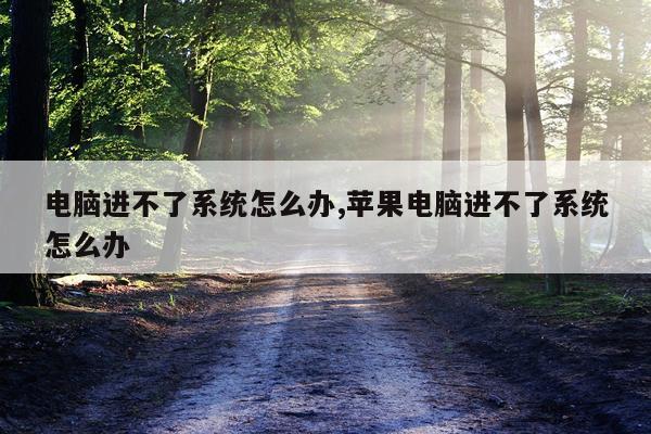 电脑进不了系统怎么办,苹果电脑进不了系统怎么办