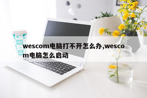 wescom电脑打不开怎么办,wescom电脑怎么启动