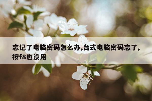 忘记了电脑密码怎么办,台式电脑密码忘了,按f8也没用