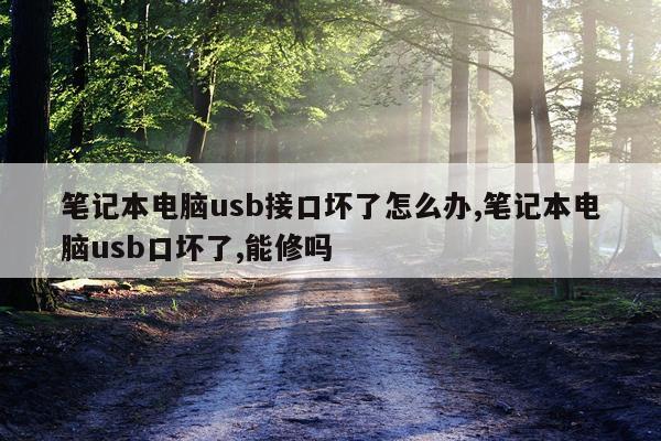 笔记本电脑usb接口坏了怎么办,笔记本电脑usb口坏了,能修吗