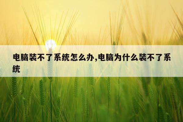 电脑装不了系统怎么办,电脑为什么装不了系统