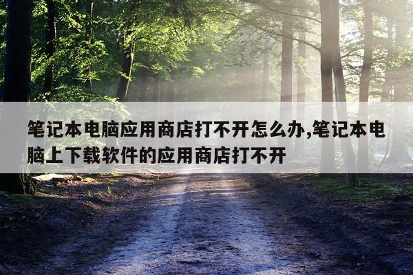笔记本电脑应用商店打不开怎么办,笔记本电脑上下载软件的应用商店打不开