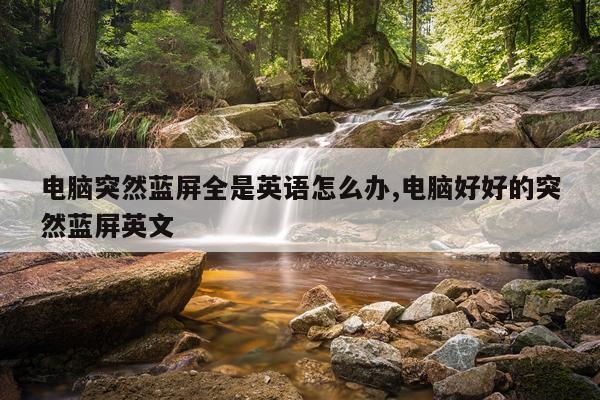 电脑突然蓝屏全是英语怎么办,电脑好好的突然蓝屏英文