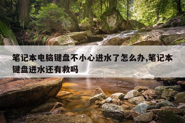 笔记本电脑键盘不小心进水了怎么办,笔记本键盘进水还有救吗