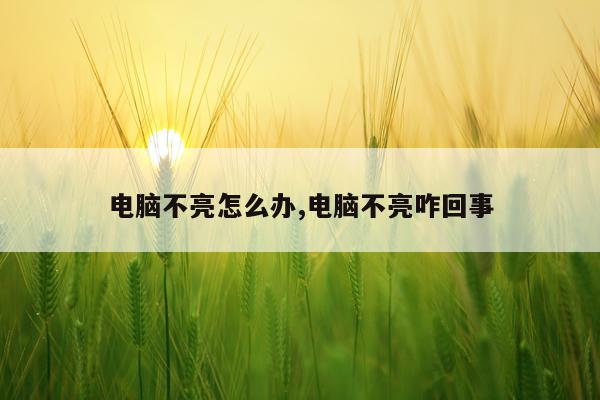 电脑不亮怎么办,电脑不亮咋回事