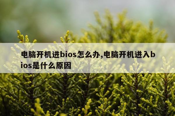 电脑开机进bios怎么办,电脑开机进入bios是什么原因