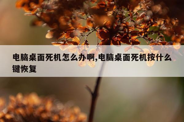 电脑桌面死机怎么办啊,电脑桌面死机按什么键恢复
