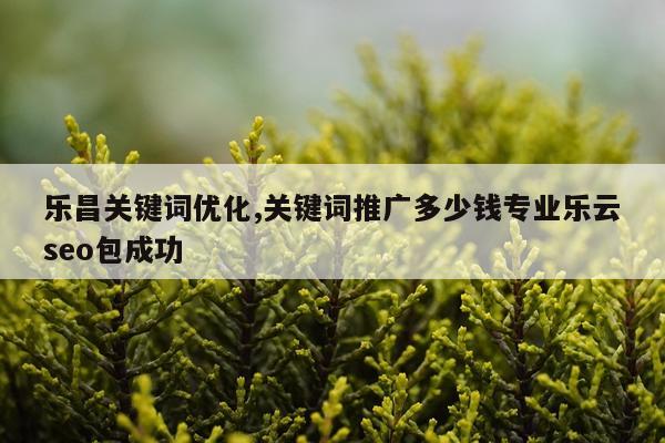 乐昌关键词优化,关键词推广多少钱专业乐云seo包成功