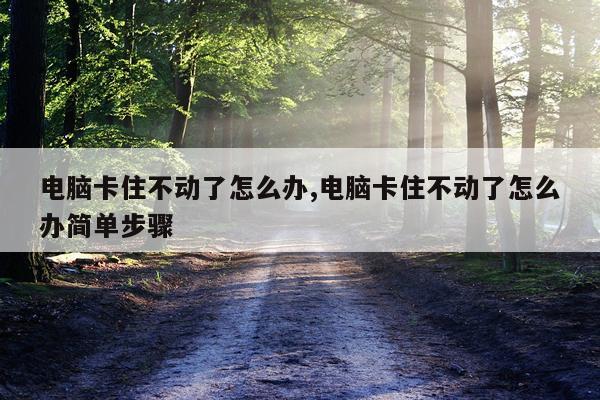 电脑卡住不动了怎么办,电脑卡住不动了怎么办简单步骤