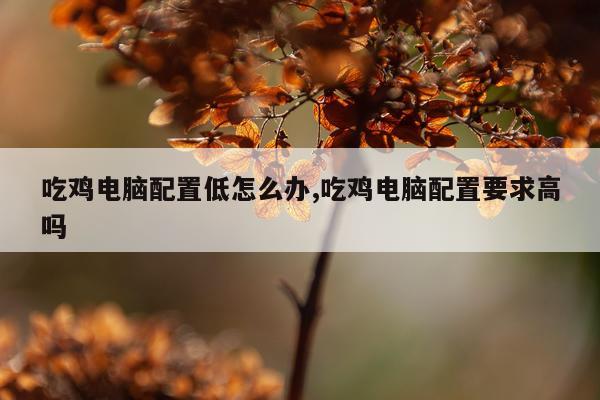 吃鸡电脑配置低怎么办,吃鸡电脑配置要求高吗